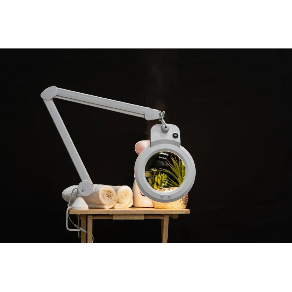 Lamp with Magnifying Glass "CHAMELEON"