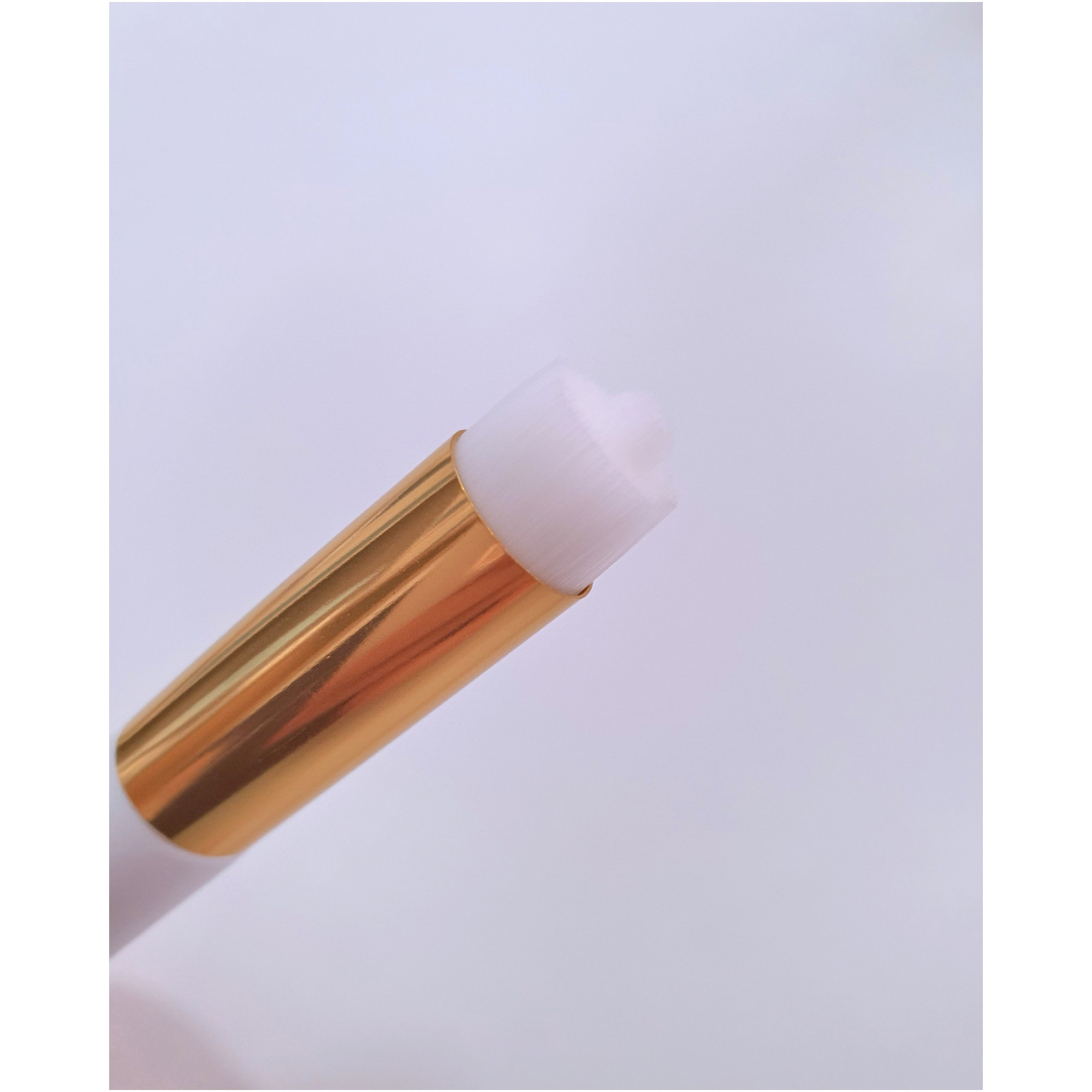 Brocha Limpiadora (cleaning brush)